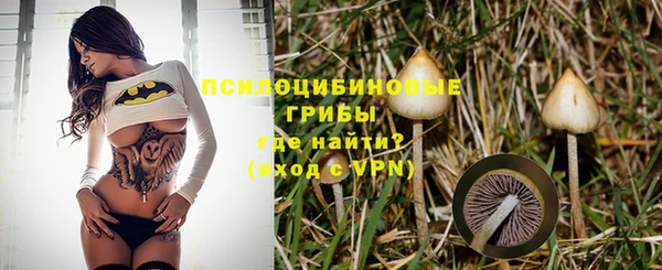 таблы Алзамай