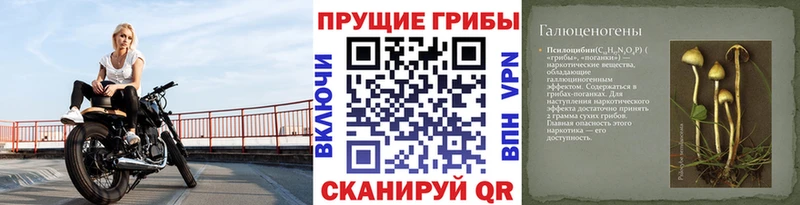 даркнет сайт Ейск Галлюциногенные грибы прущие грибы